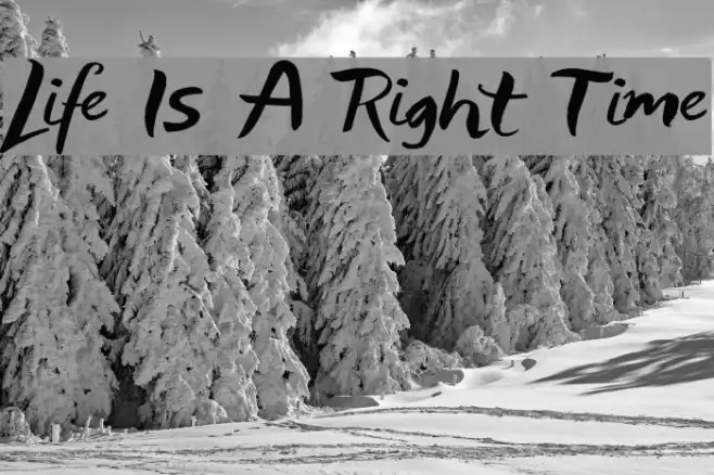 Life Is A Right Time Example 2