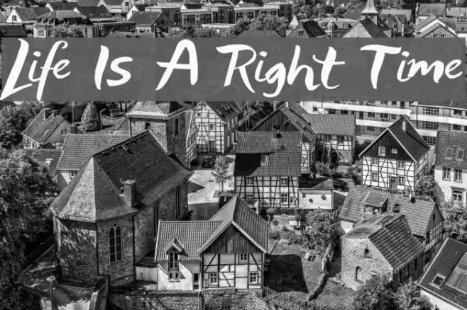 Life Is A Right Time Example 3