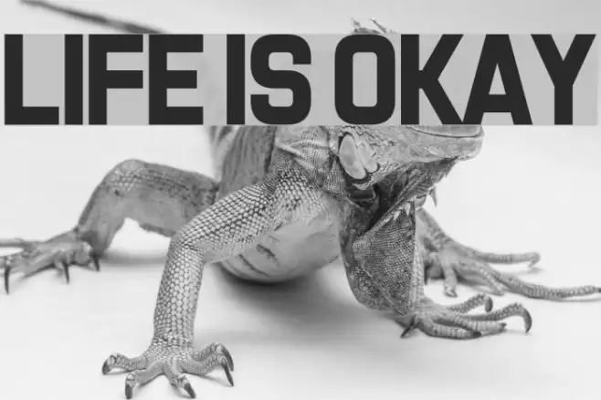Life Is Okay Font examples