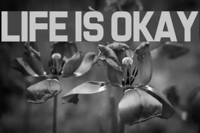 Life Is Okay Font examples