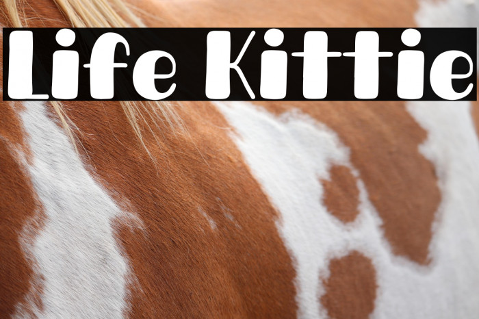 Life Kittie Example 1