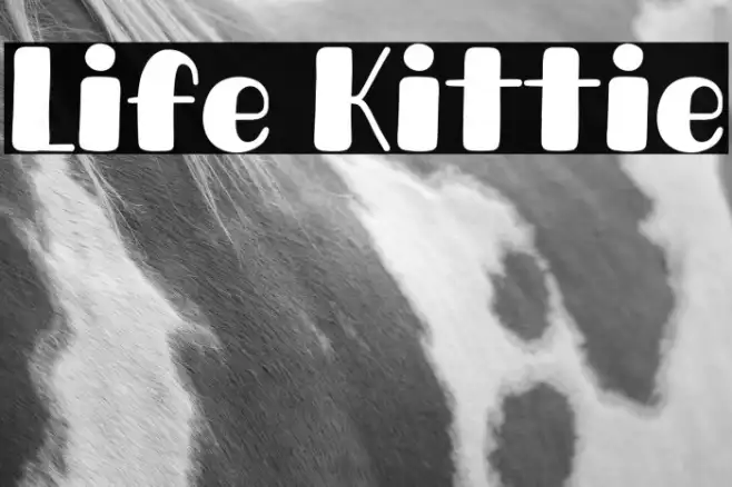 Life Kittie Example 1