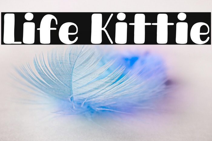 Life Kittie Example 2