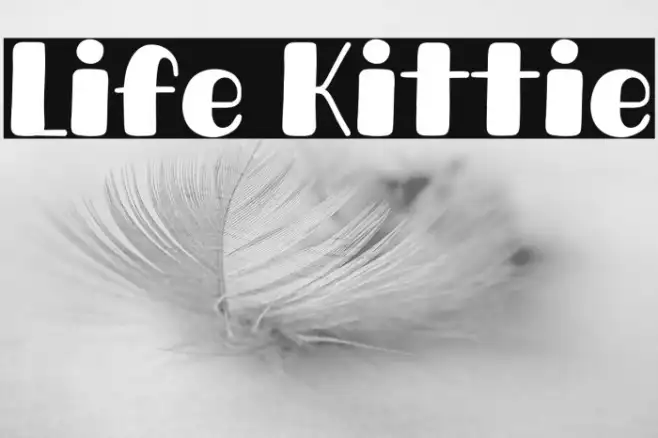 Life Kittie Example 2