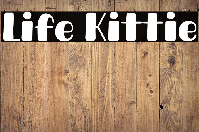 Life Kittie Example 3