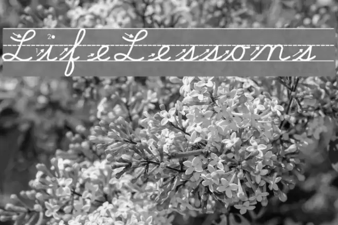 Life-Lessons フォント examples