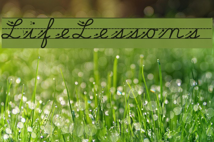 Life-Lessons Font examples