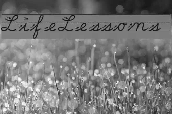 Life-Lessons フォント examples