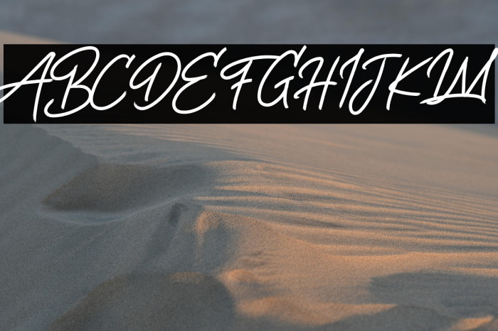 Life Rolling Free Trial Example 1