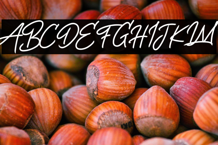 Life Rolling Free Trial Example 2