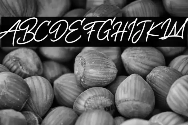 Life Rolling Free Trial خط examples