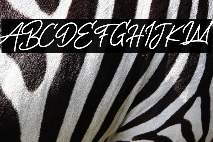 Life Rolling Free Trial Example 3