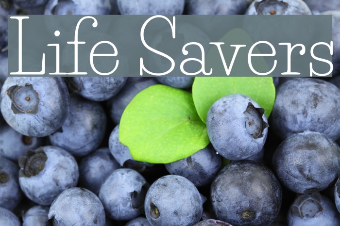 Life Savers Font examples