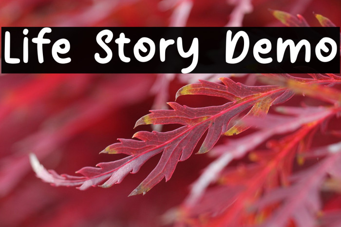 Life Story Demo Example 1