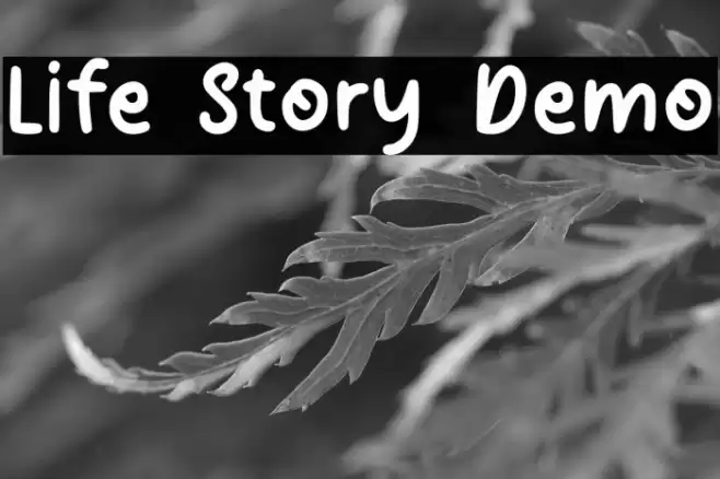Life Story Demo Font examples