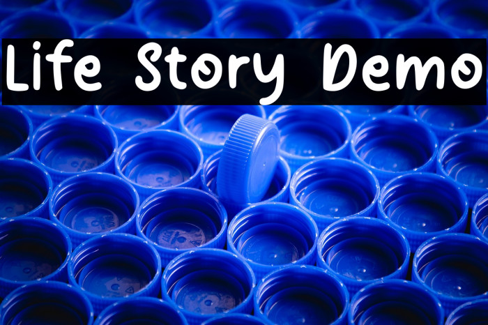 Life Story Demo Example 2