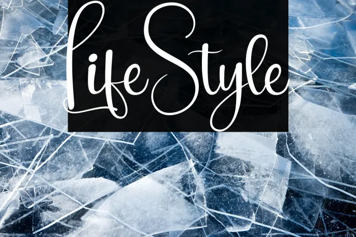 Life Style Example 3