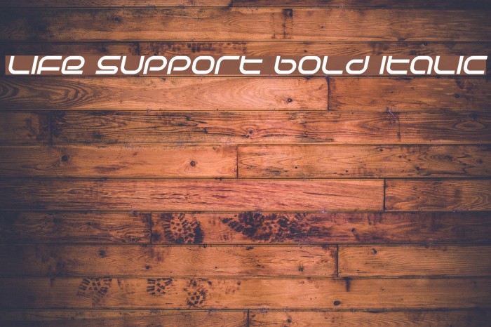 Life Support Bold Italic Font examples