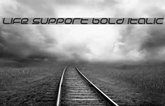 Life Support Bold Italic Font examples