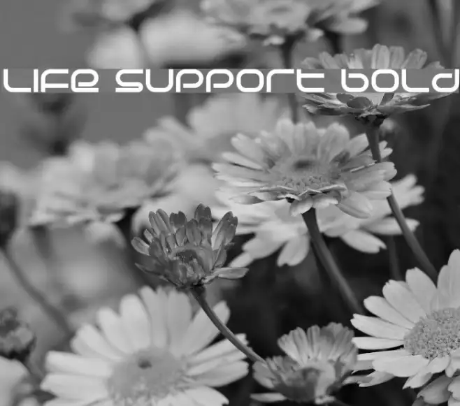 Life Support Bold Example 1