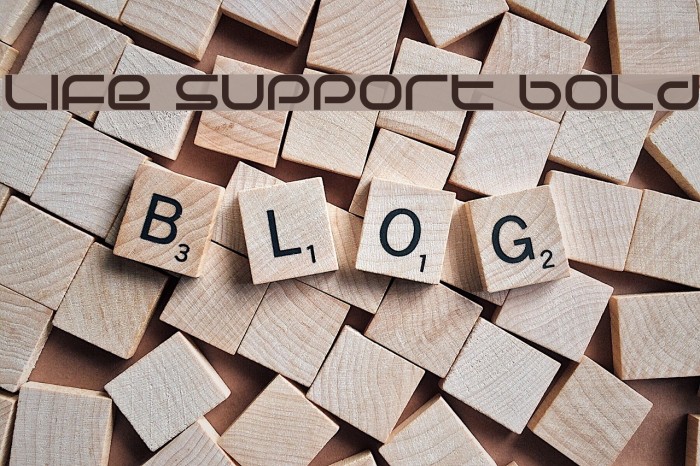 Life Support Bold Font examples