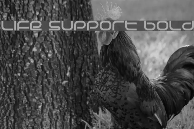 Life Support Bold Example 3