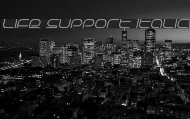 Life Support Italic フォント examples