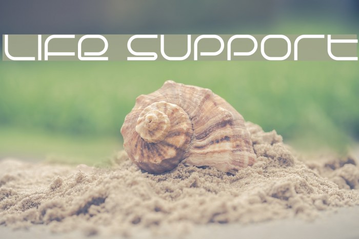 Life Support Font examples