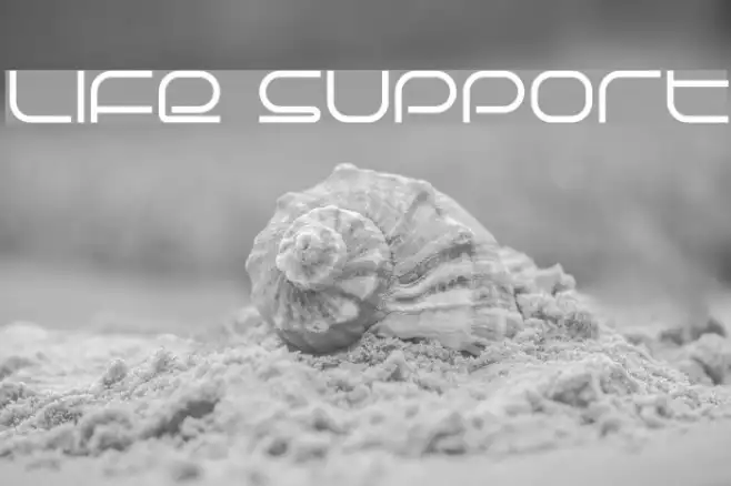 Life Support Example 1