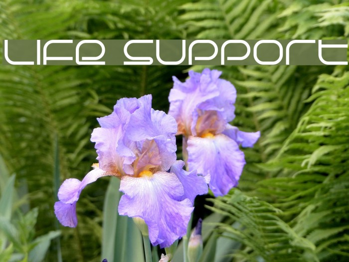 Life Support Font examples