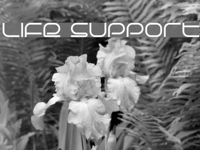 Life Support Example 2