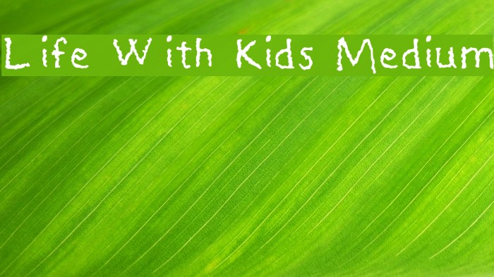 Life With Kids Medium Font examples