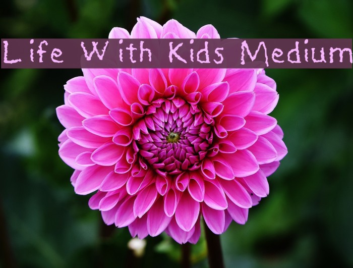 Life With Kids Medium Font examples