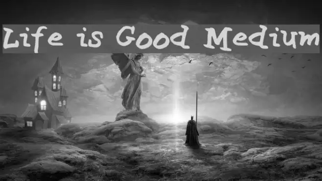 Life is Good Medium Example 2