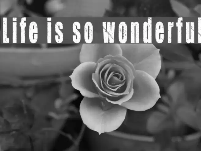 Life is so wonderful フォント examples