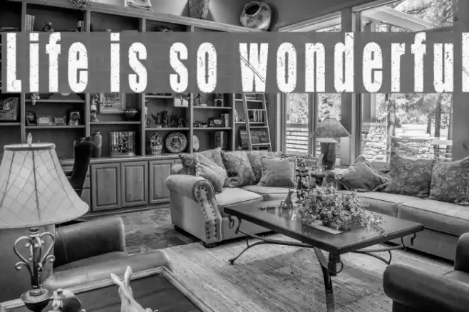 Life is so wonderful フォント examples