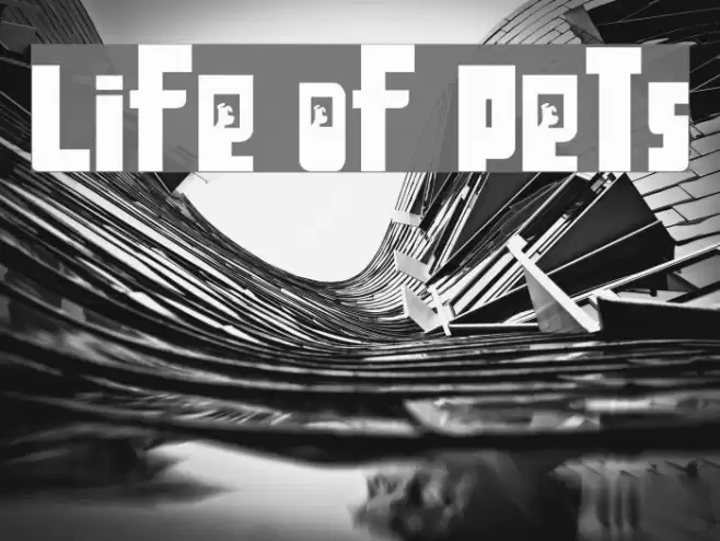 Life of Pets Font examples