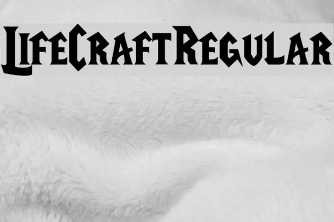 LifeCraftRegular Font examples