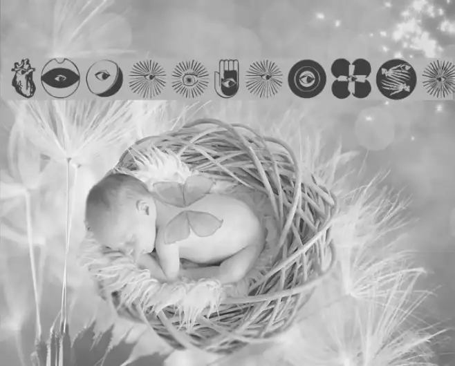 LifeEyecons Example 1
