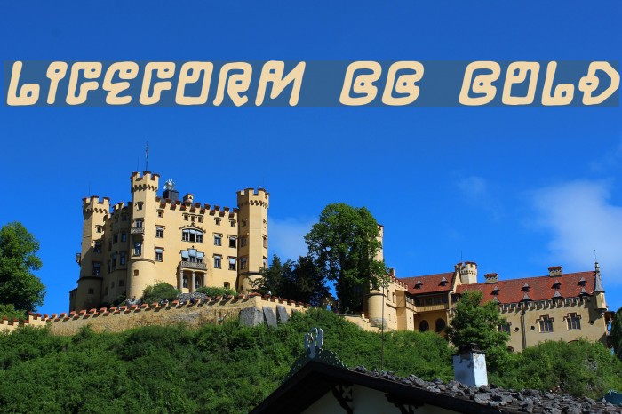 LifeForm BB Bold Example 2