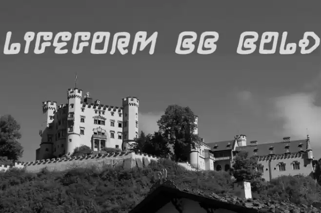 LifeForm BB Bold Font examples