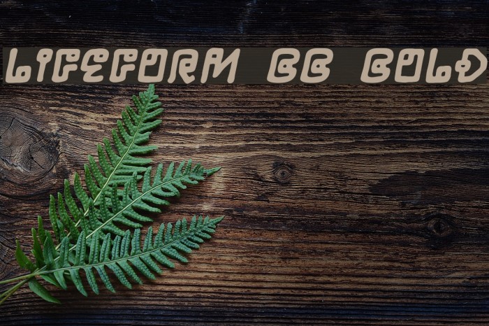LifeForm BB Bold Example 3
