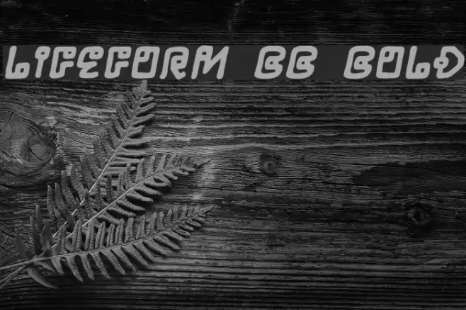 LifeForm BB Bold Font examples