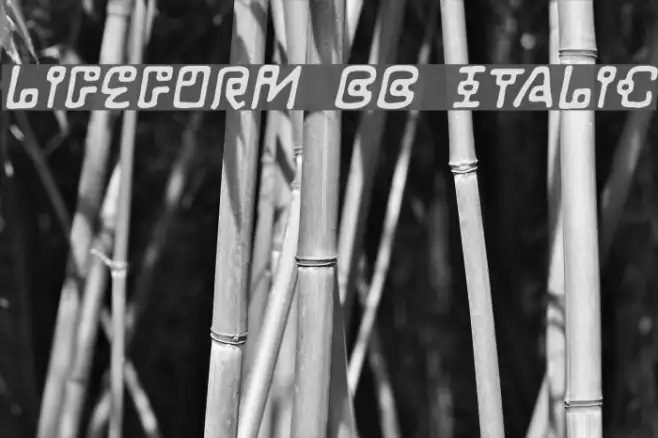 LifeForm BB Italic Example 1