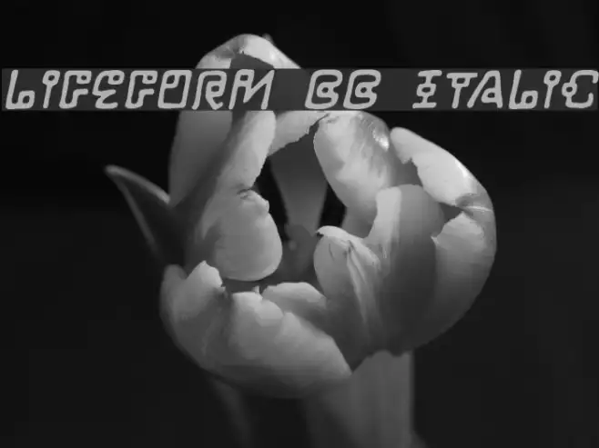 LifeForm BB Italic Example 2
