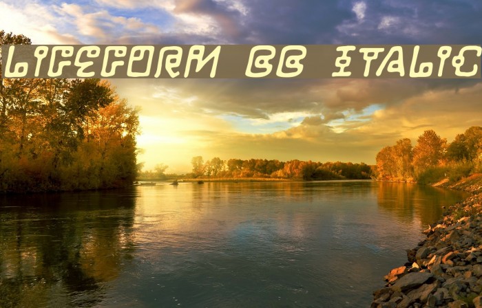LifeForm BB Italic Font examples