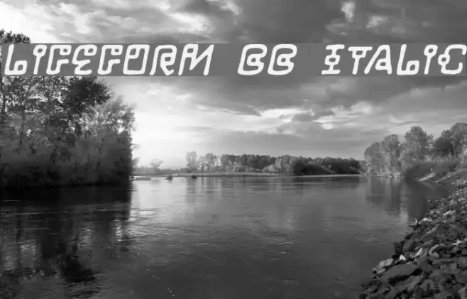 LifeForm BB Italic Example 3
