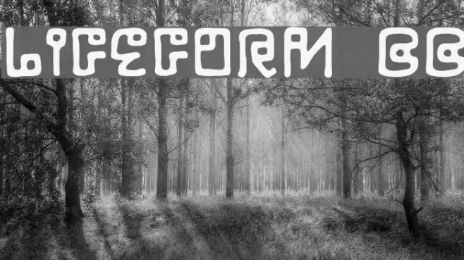 LifeForm BB Example 1