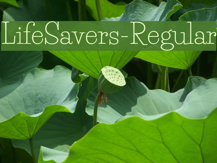 LifeSavers-Regular Font examples