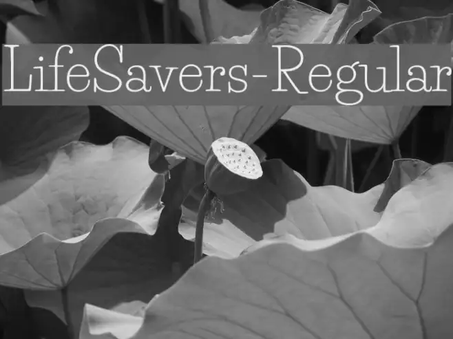 LifeSavers-Regular Example 1